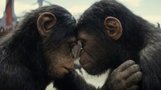 Two apes in Kingdom of the Planet of the Apes