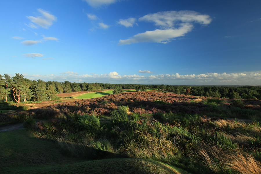 Sunningdale Golf Club New Course Pictures