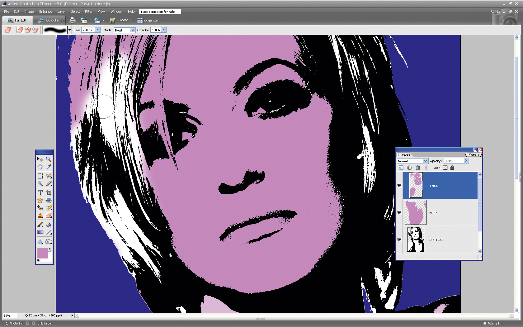 Make a pop art portrait in Photoshop