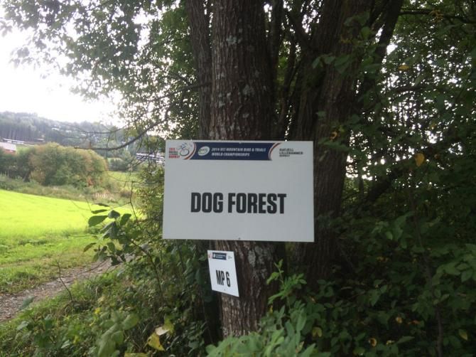 Dog Forest is one of the named sections on course