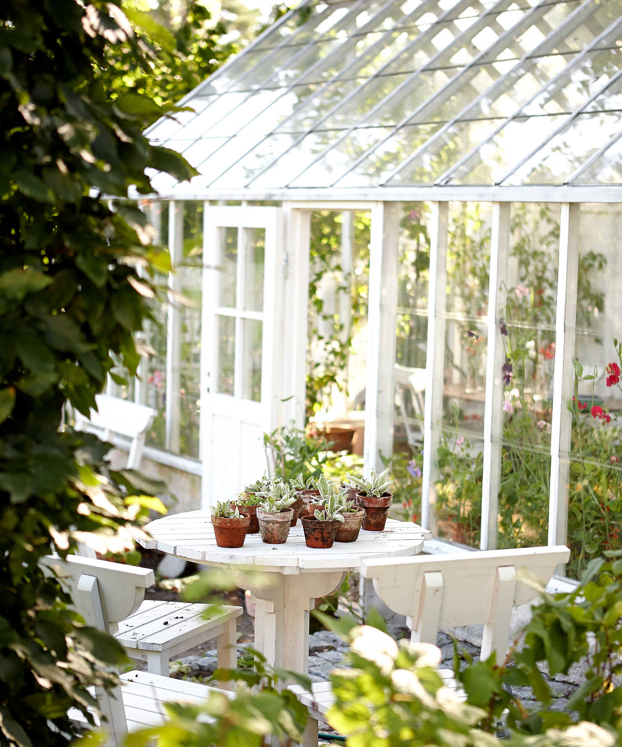 pretty greenhouse with outdoor table and potted plants