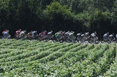 Tour de France riders near to Limoux in Languedoc-Roussillon