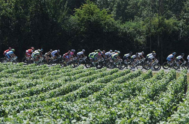 Tour de France riders near to Limoux in Languedoc-Roussillon