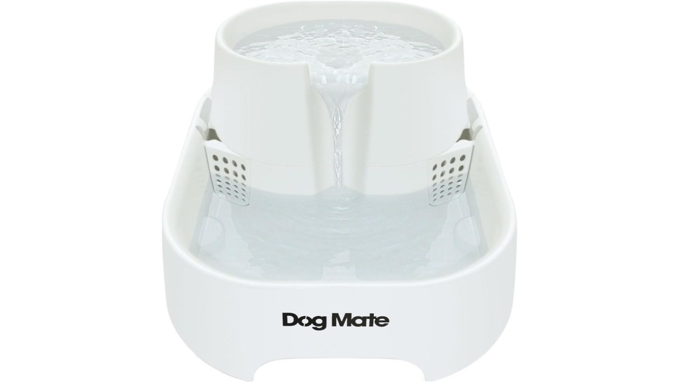 Dog Mate Water fountain