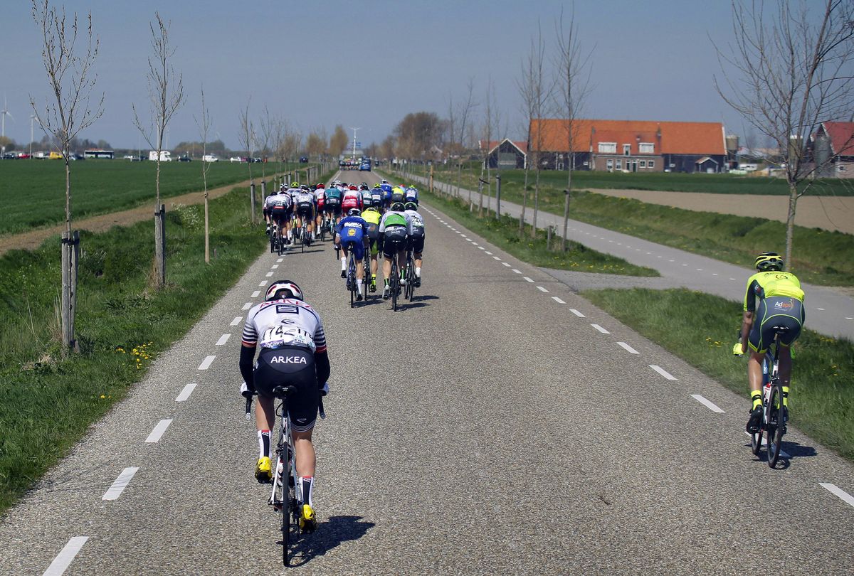 Echelons splinter the peloton in Scheldeprijs