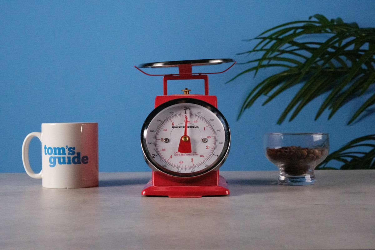 An image of a set of red scales taken on the Fujifilm X-T30 III