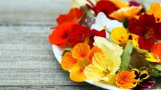 Edible flowers on a plate