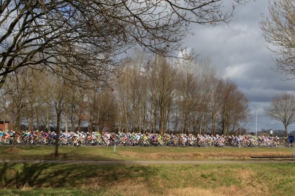 The bunch rolls out of Cevorden