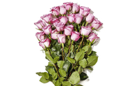 24 Stem Roses: was $29 now $19 @ Amazon