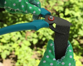 Close up of gloved hands sharpening pruning shears outdoors