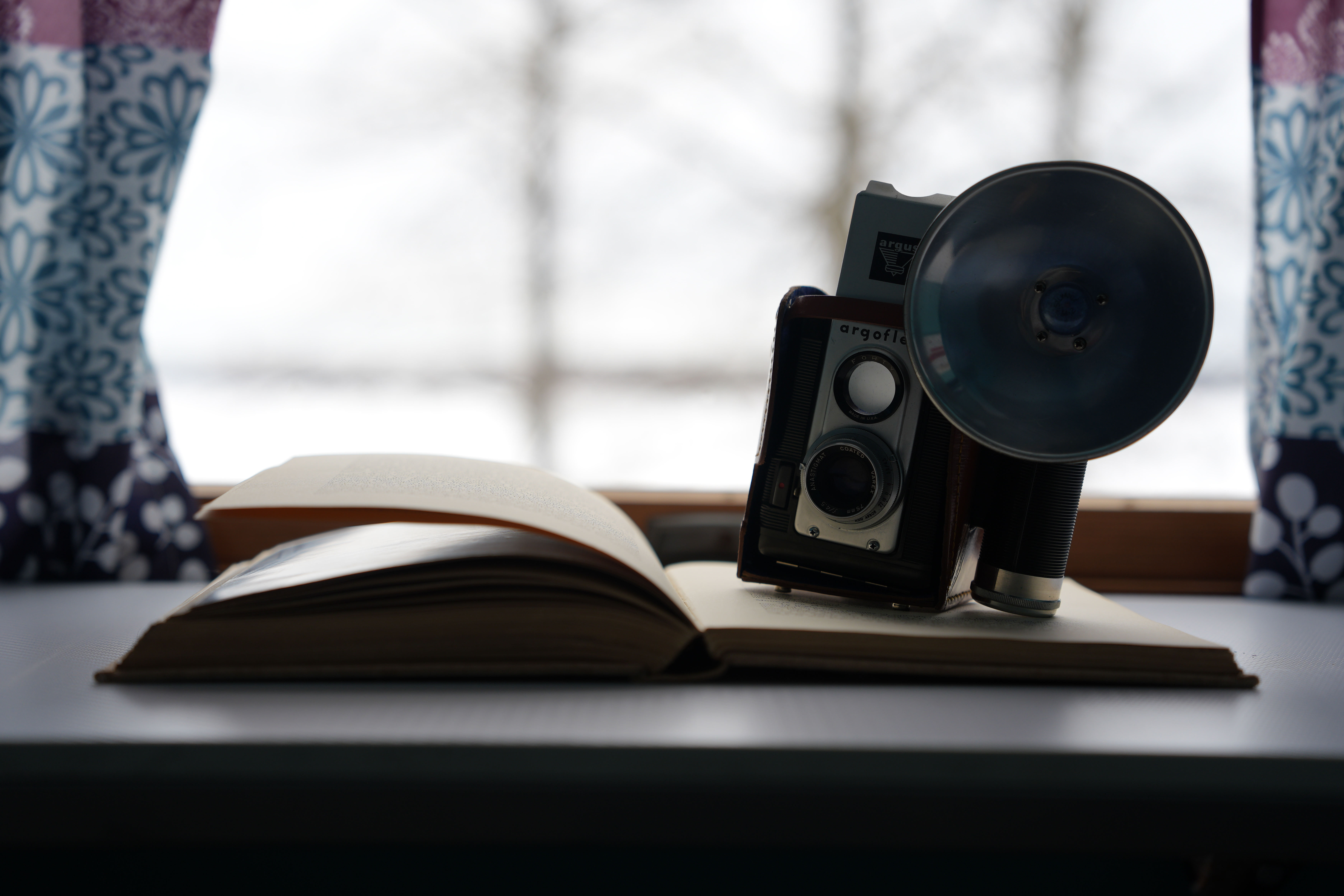 A photo taken with the Sony A7 V