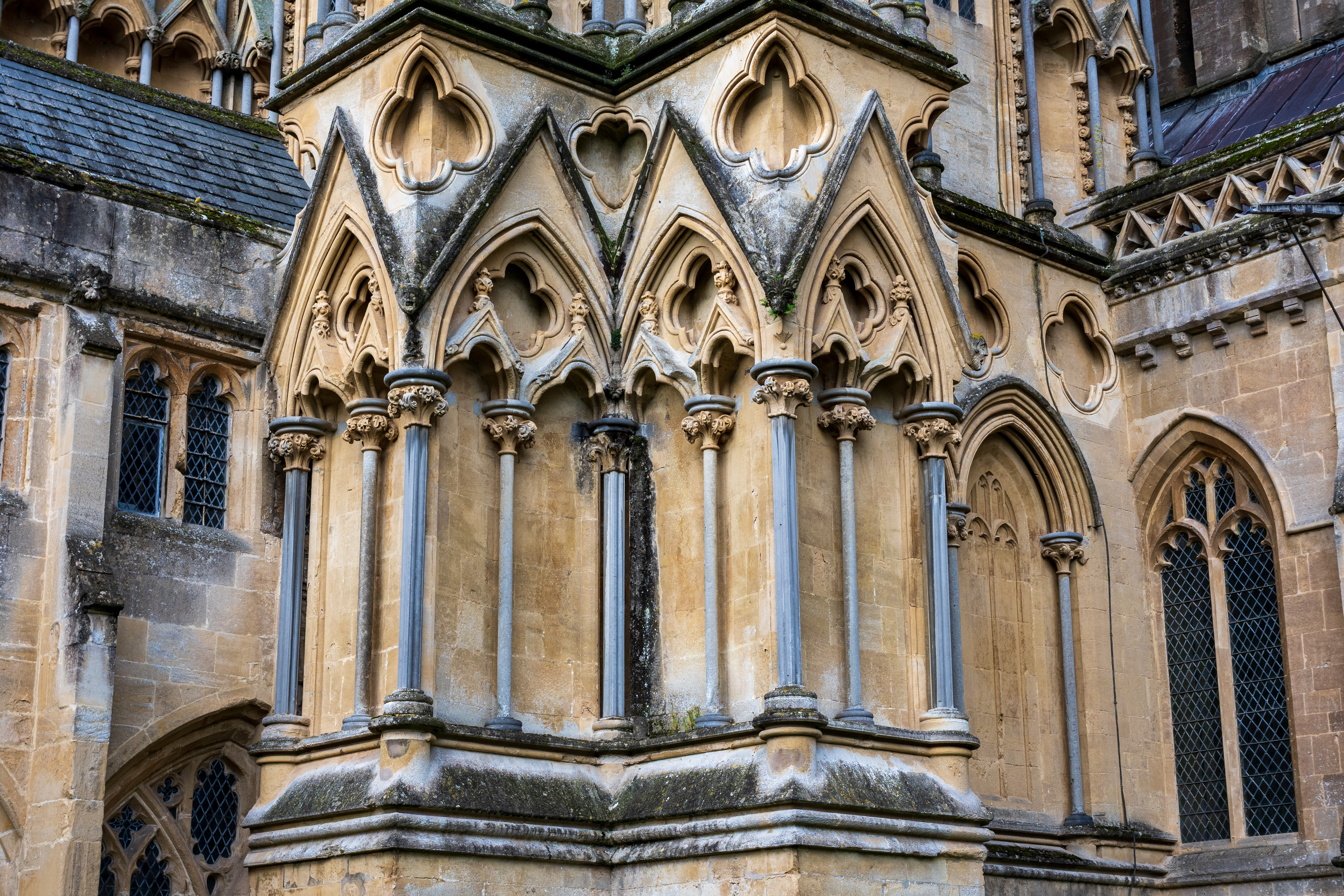 Nikon Z DX MC 35mm f/1.7 example shot