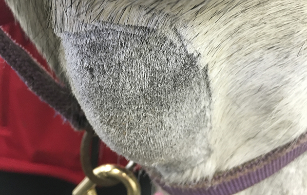 3-hard-swelling