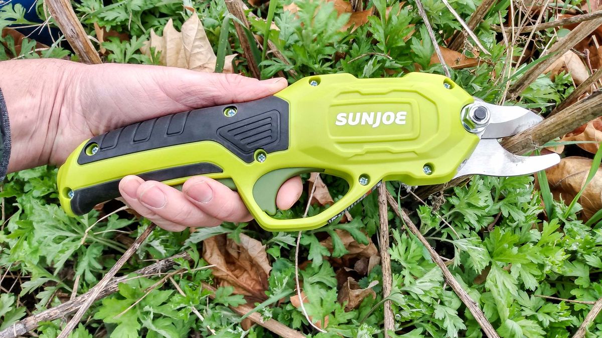 Best Pruning Shears:
