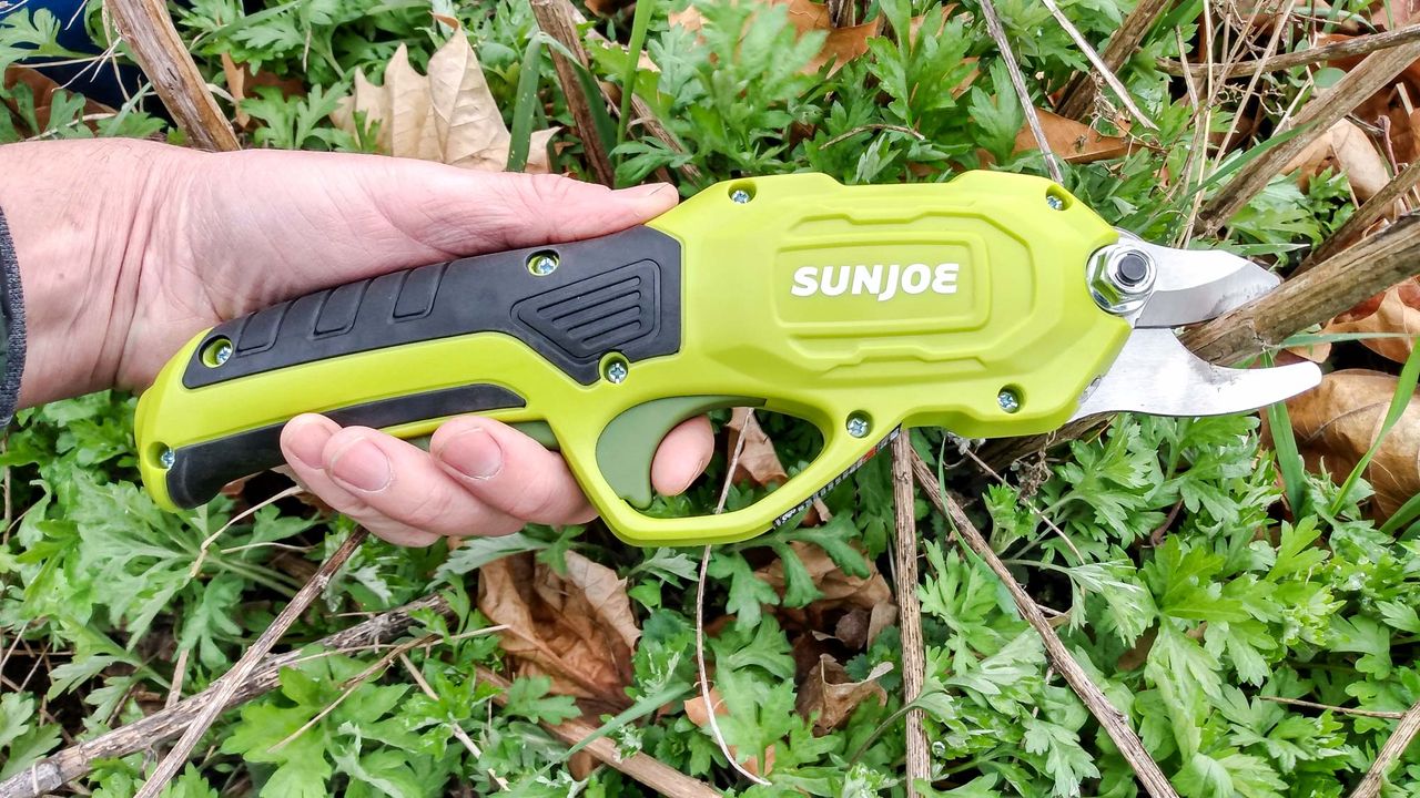 Best Pruning Shears: