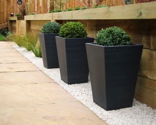 low timber retaining wall with planters on a patio