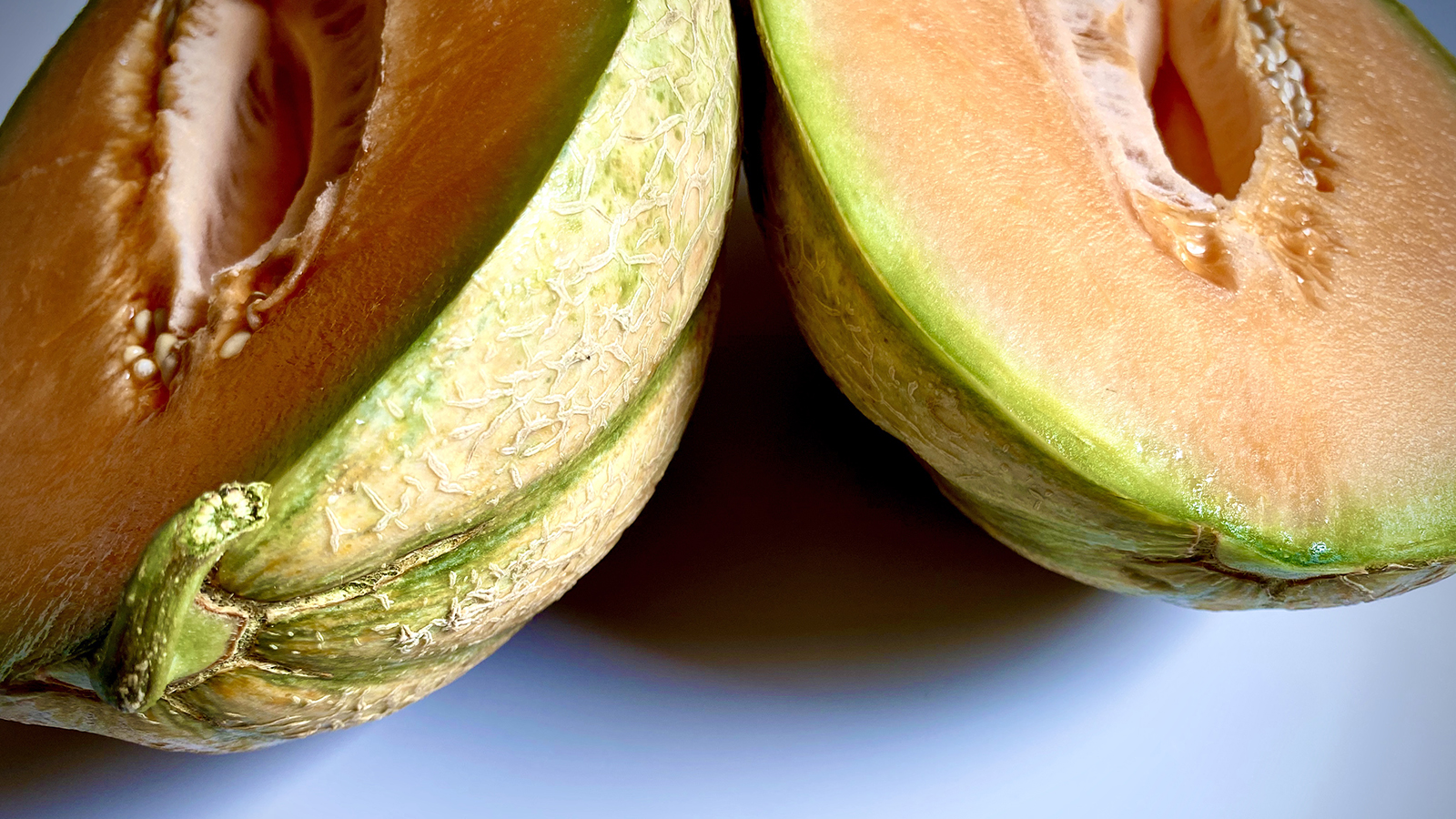 Melon with appearance of Bidwell Casaba melon