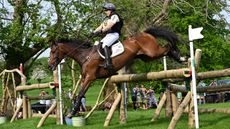 Badminton Horse Trials special prizes: MCS Maverick, whose grooms won the grooms&rsquo; award