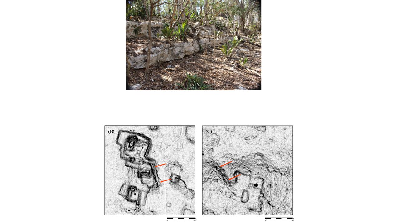 A photo (A) showing evidence of stone quarrying at Kom. Lidar imagery (B) of the Kom ledge quarry near a Maya palace and (C) a ledge quarry, marked with red arrows, at Muluchtzekel.