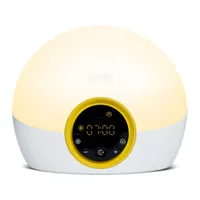 Lumie Bodyclock Rise 100