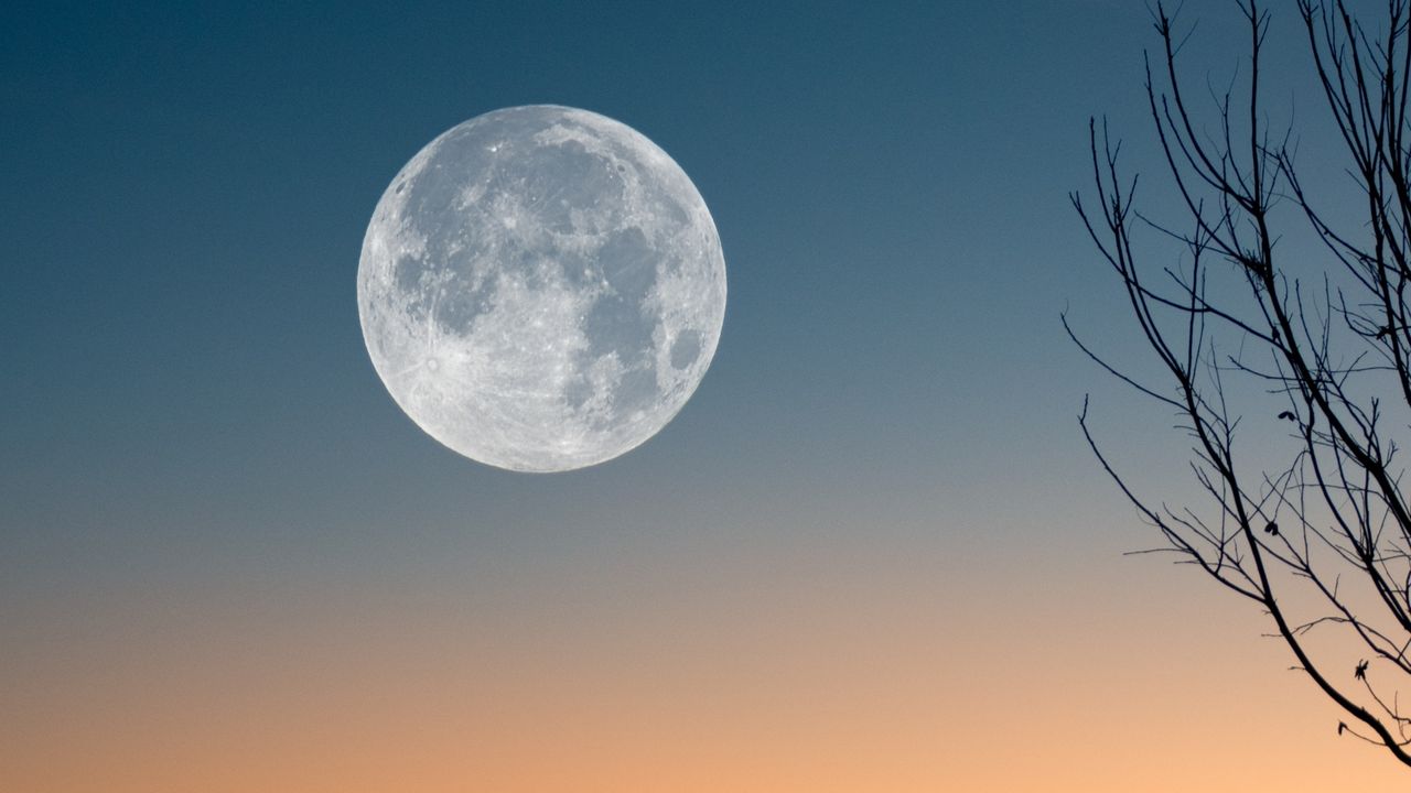 New Moon April 2023: Silhouette of bare tree against sky at night,Indonesia.