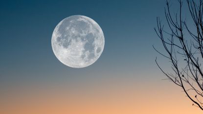 New Moon April 2023: Silhouette of bare tree against sky at night,Indonesia.