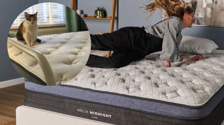 The image shows a light haired woman wearing a black and white blouse and black dungarees jumping onto a white mattress with a blue trim. Inset, there is an image of a cat sitting on the same mattress in a different bedroom.