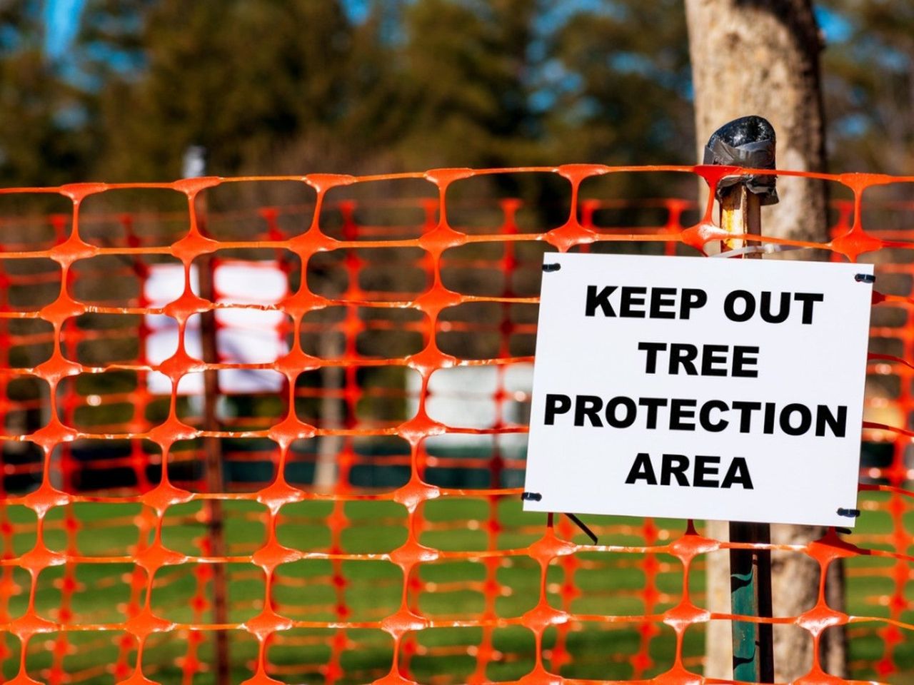 tree protection sign and orange fencing