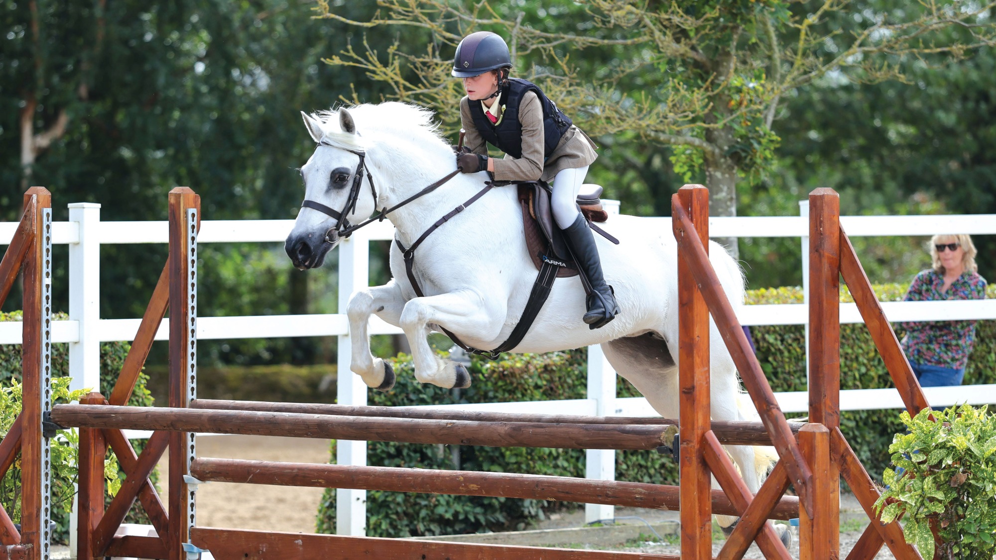 Connemara Galtee Honeysuckle and his rider are jumping a rustic fence at the Connemara Pony World Search for a Star championships.
