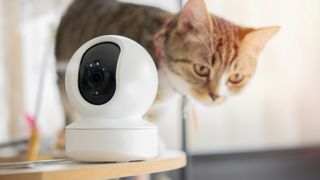 Pet camera