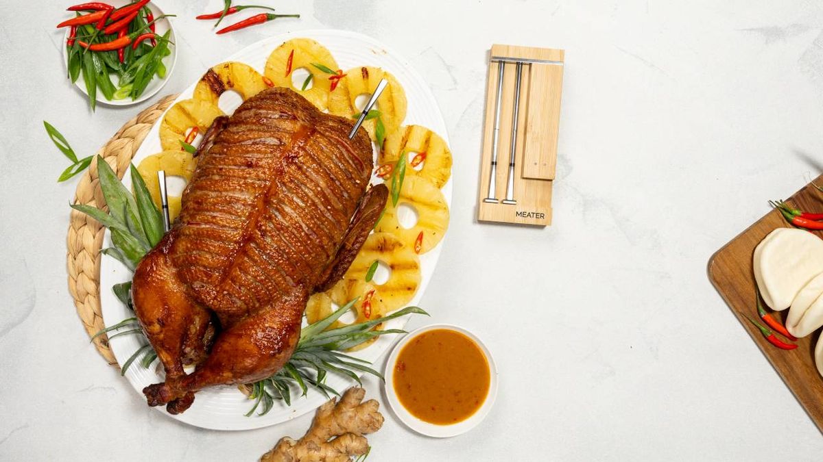 Meater launches its first ever twoprobe meat thermometer this is its