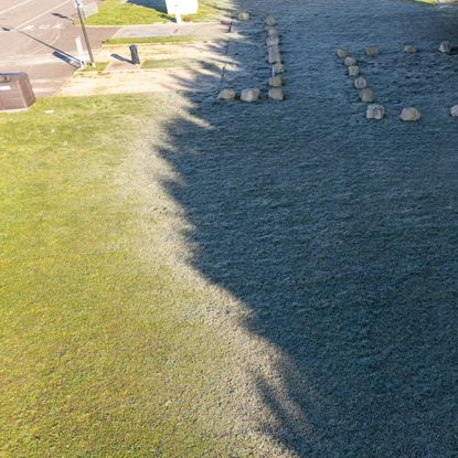 A lawn half covered in shadows from trees. The grass in shade still has frost on it.
