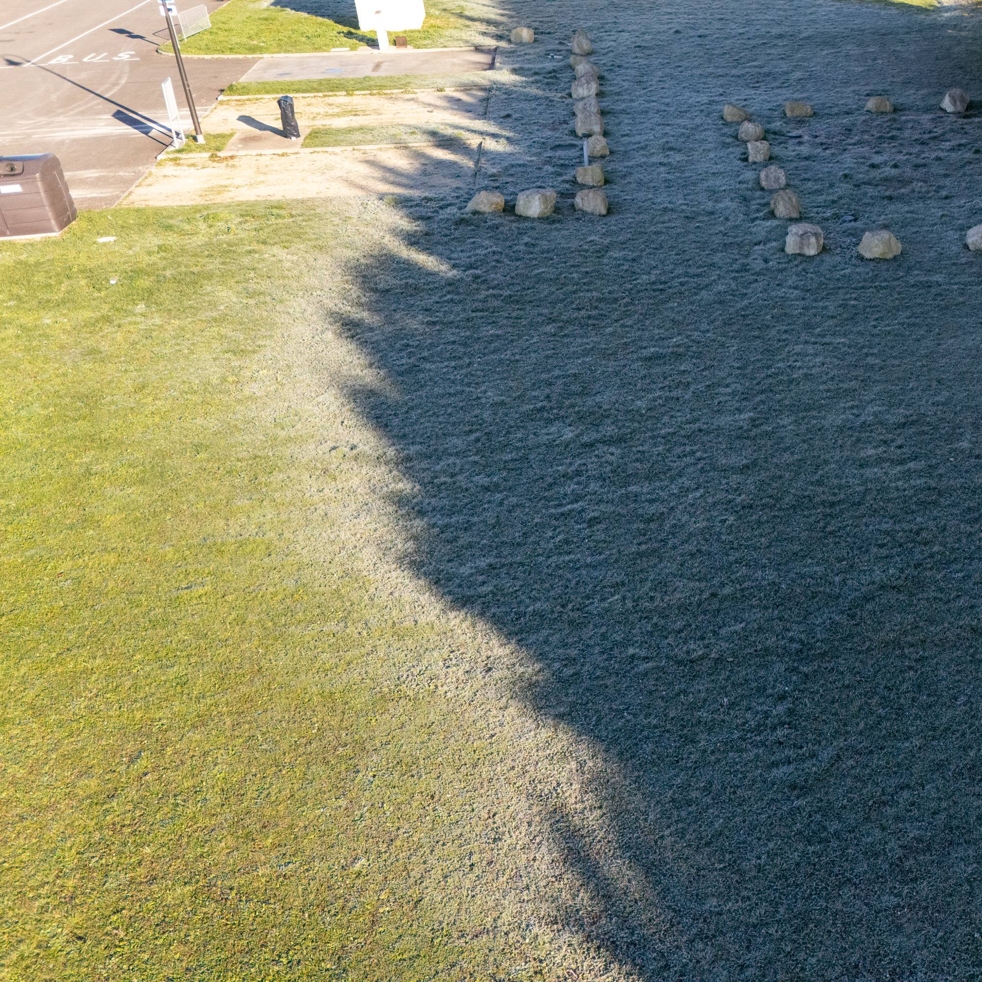 A lawn half covered in shadows from trees. The grass in shade still has frost on it.