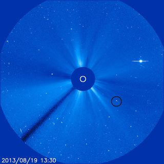 Sungrazing Comet Seen by SOHO Spacecraft