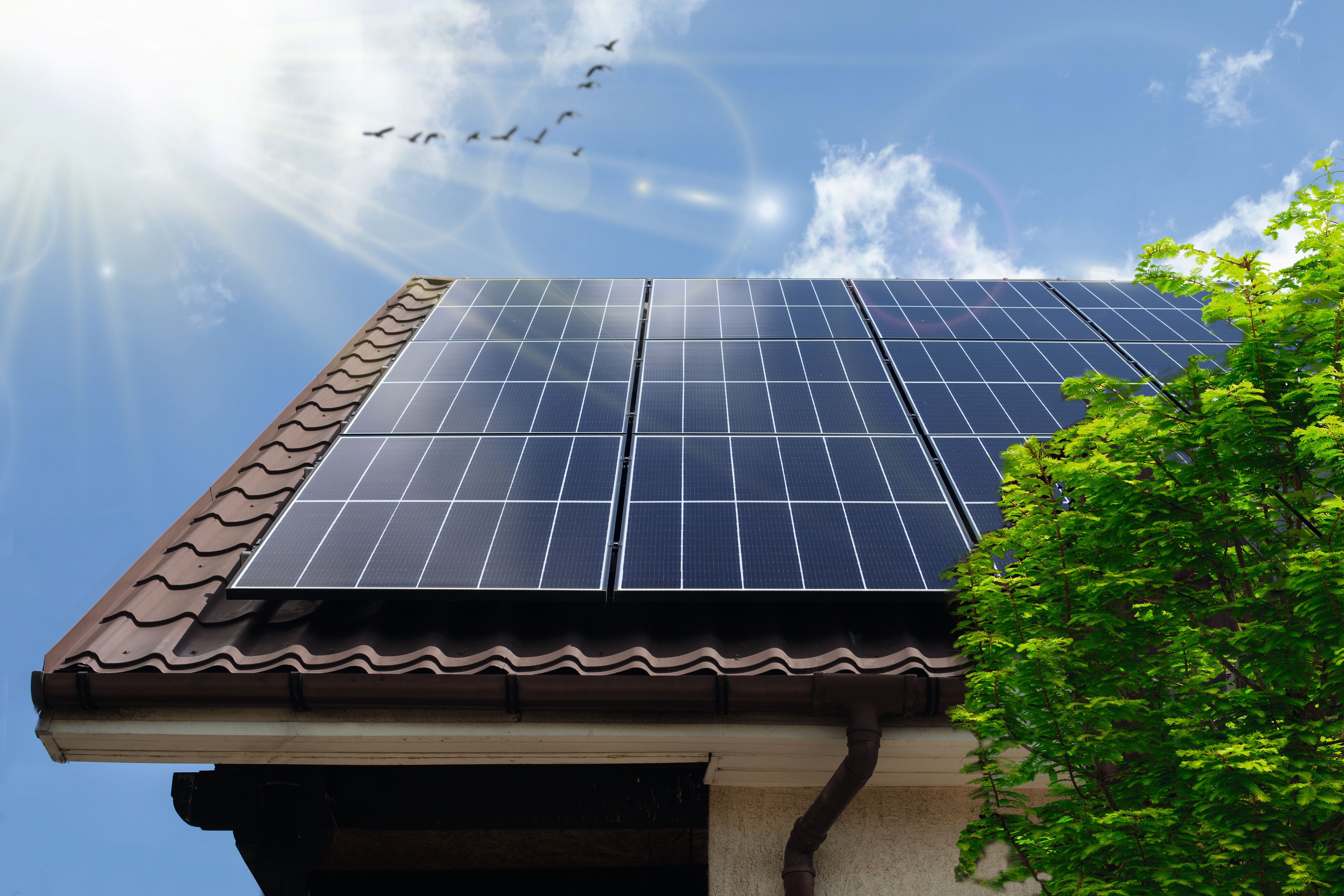 E.ON Next solar panel systems