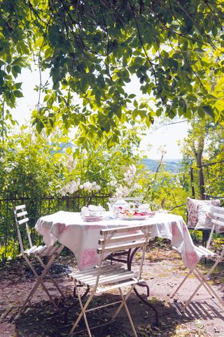 garden dining setting