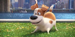 Max in Secret Life of Pets 2, played by Patton Oswalt