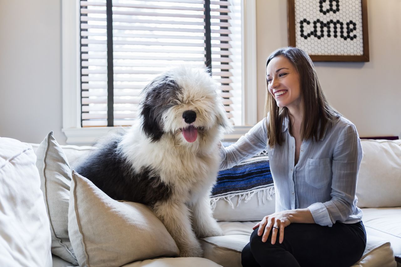 woman with sheep dog on a sofa