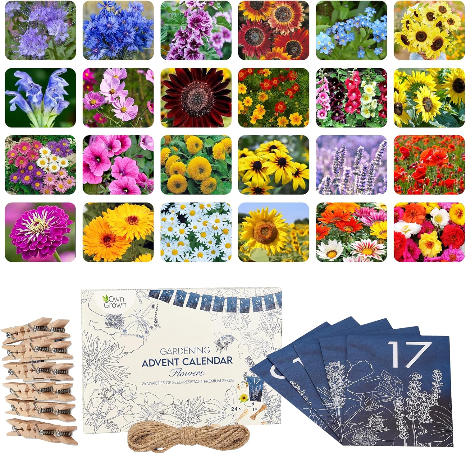 Owngrown Flower Seeds Advent Calendar for 2024-24 Varieties of Wild Flower Plant Seeds Diy Kit - Garden Gift Decorations - Housewarming Gardening Gifts for Men and Women - Wildflower Organic Seeds