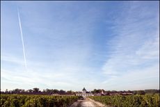 Bordeaux 2010 Brane Cantenac