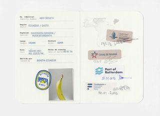 Banana passport with stamps to show its journey