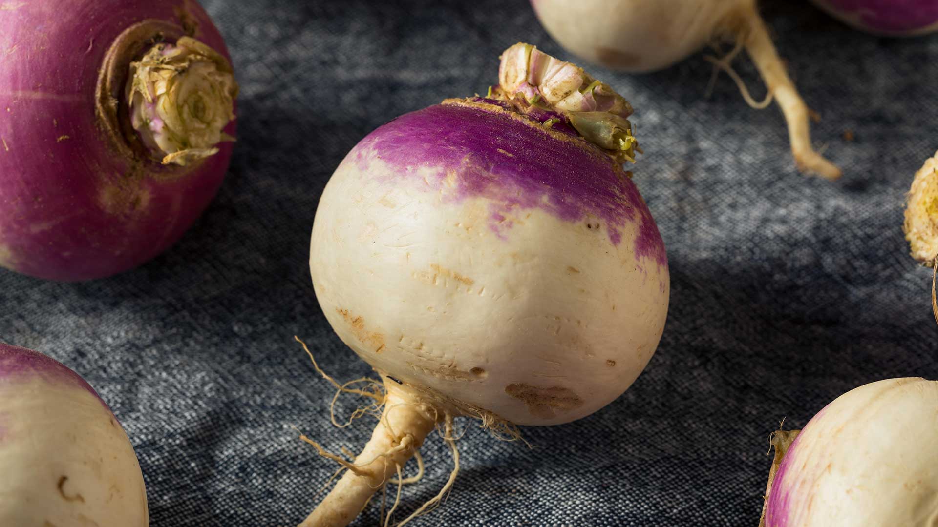 purple turnips