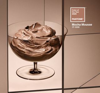 Pantone 2025 Color of the Year: Mocha Mousse