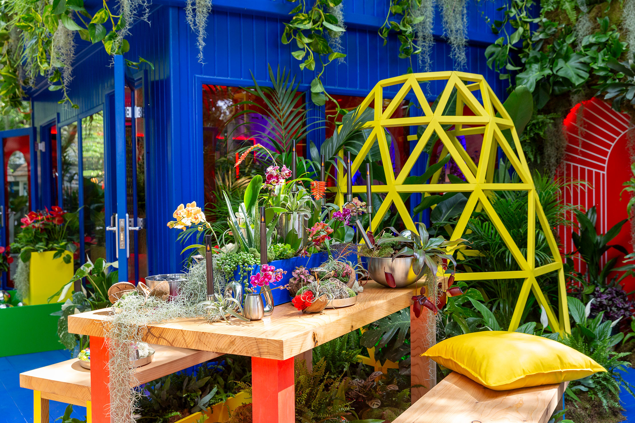 RHS Chelsea Flower Show 2025