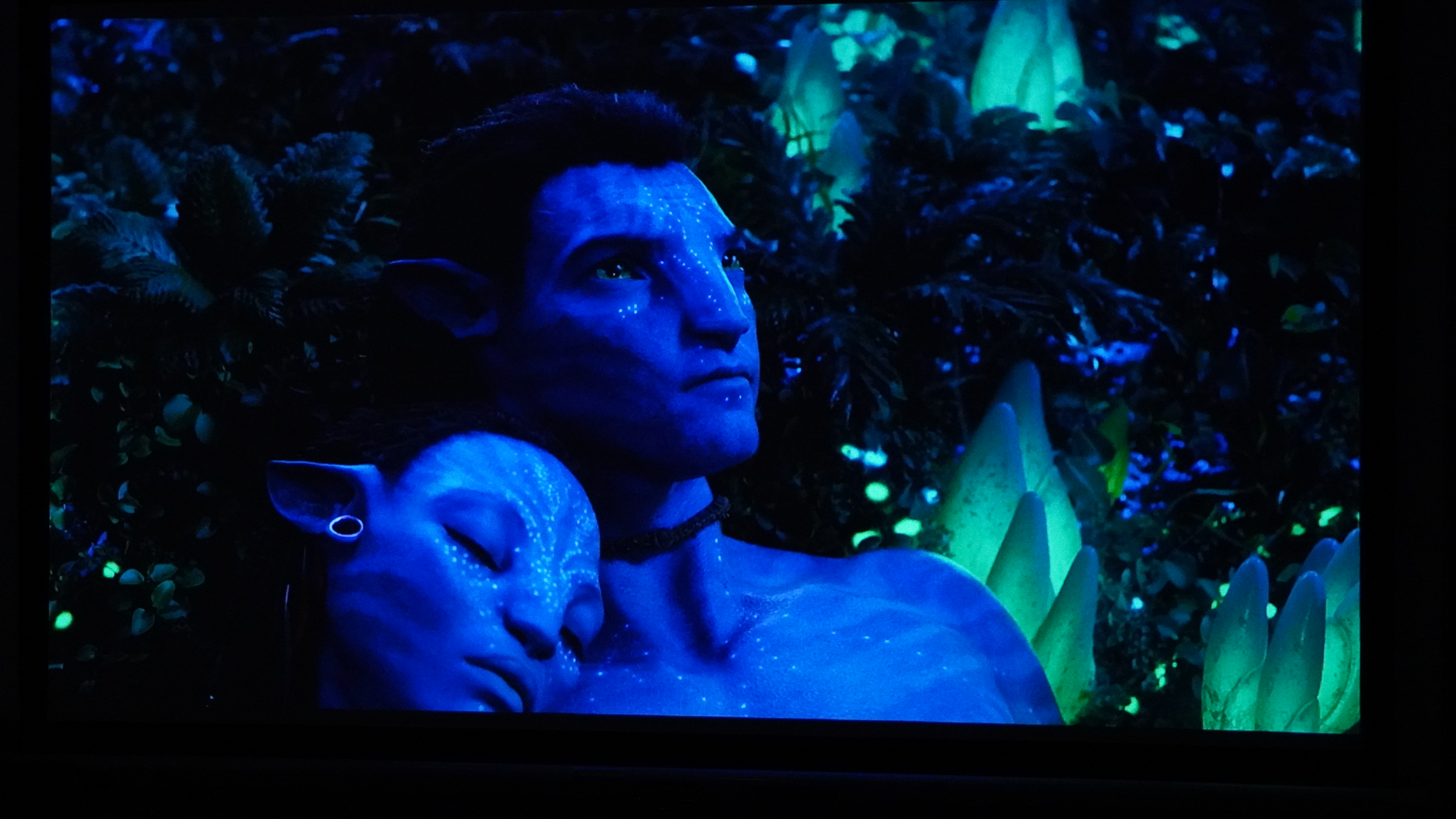 A photo of the picture quality of the Soundcore Nebula P1 projector showing a scene from Avatar