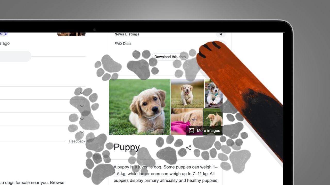 A laptop screen on a grey background showing a Google easter egg for puppies