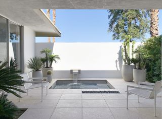 Formarch palm springs modernism week garden