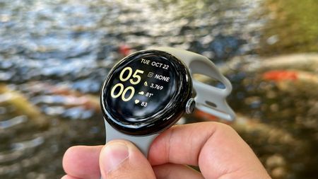 A close up of an info-packed watch face on the Google Pixel Watch 3, held above a pond