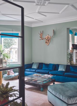 A living room with blue sofas and sage green walls