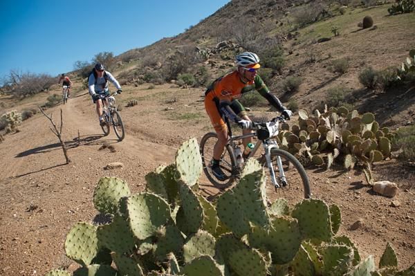 Several riders spin their way between cactus on some singletrack of the Kona Bikes 24 Hours in the Old Pueblo race in Tucson. Leading the pack is Dave Byers, the third place finisher in the Solo Male category.